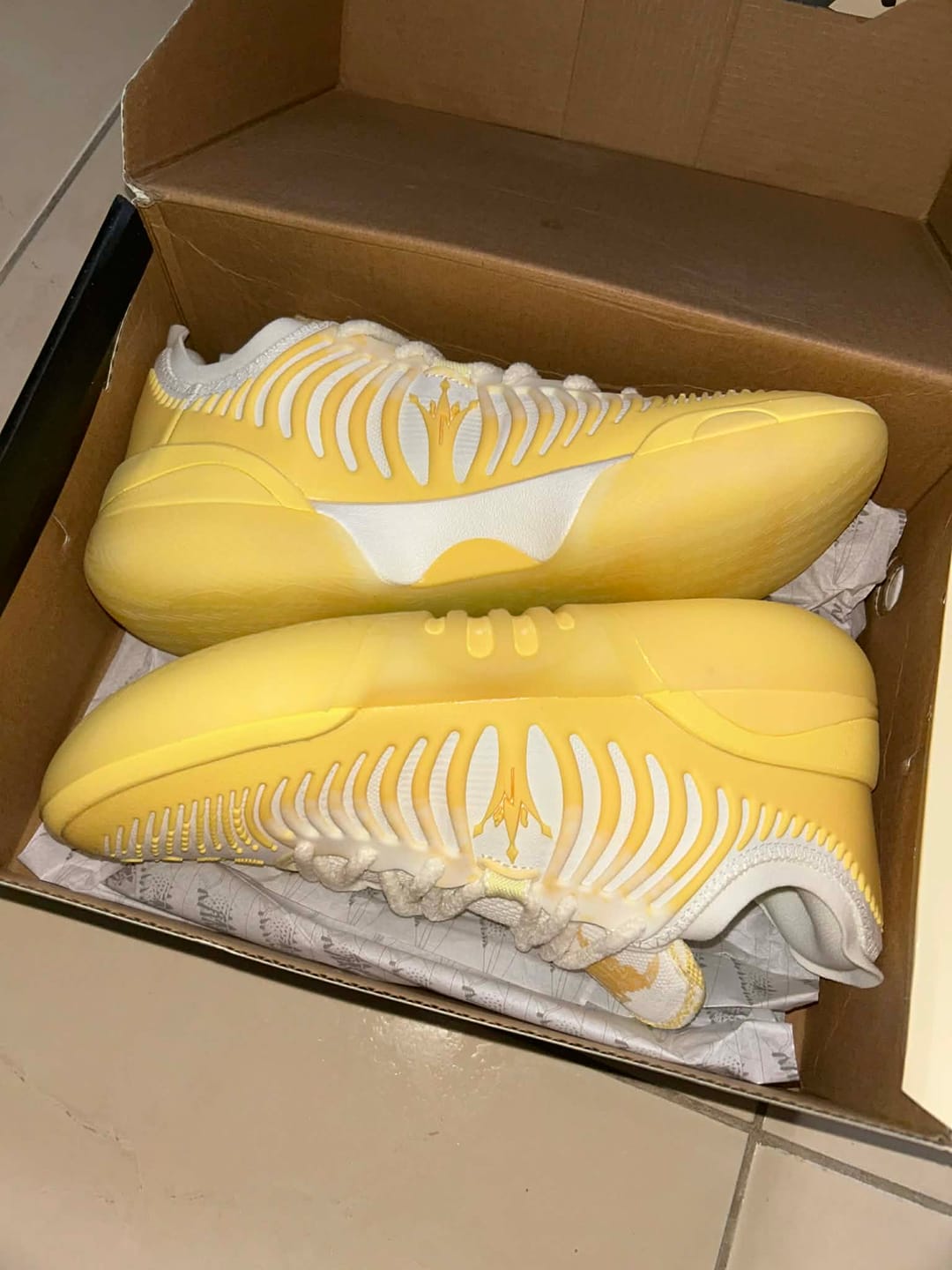 Customer photo review of Joker 2 GT "Daybreak"