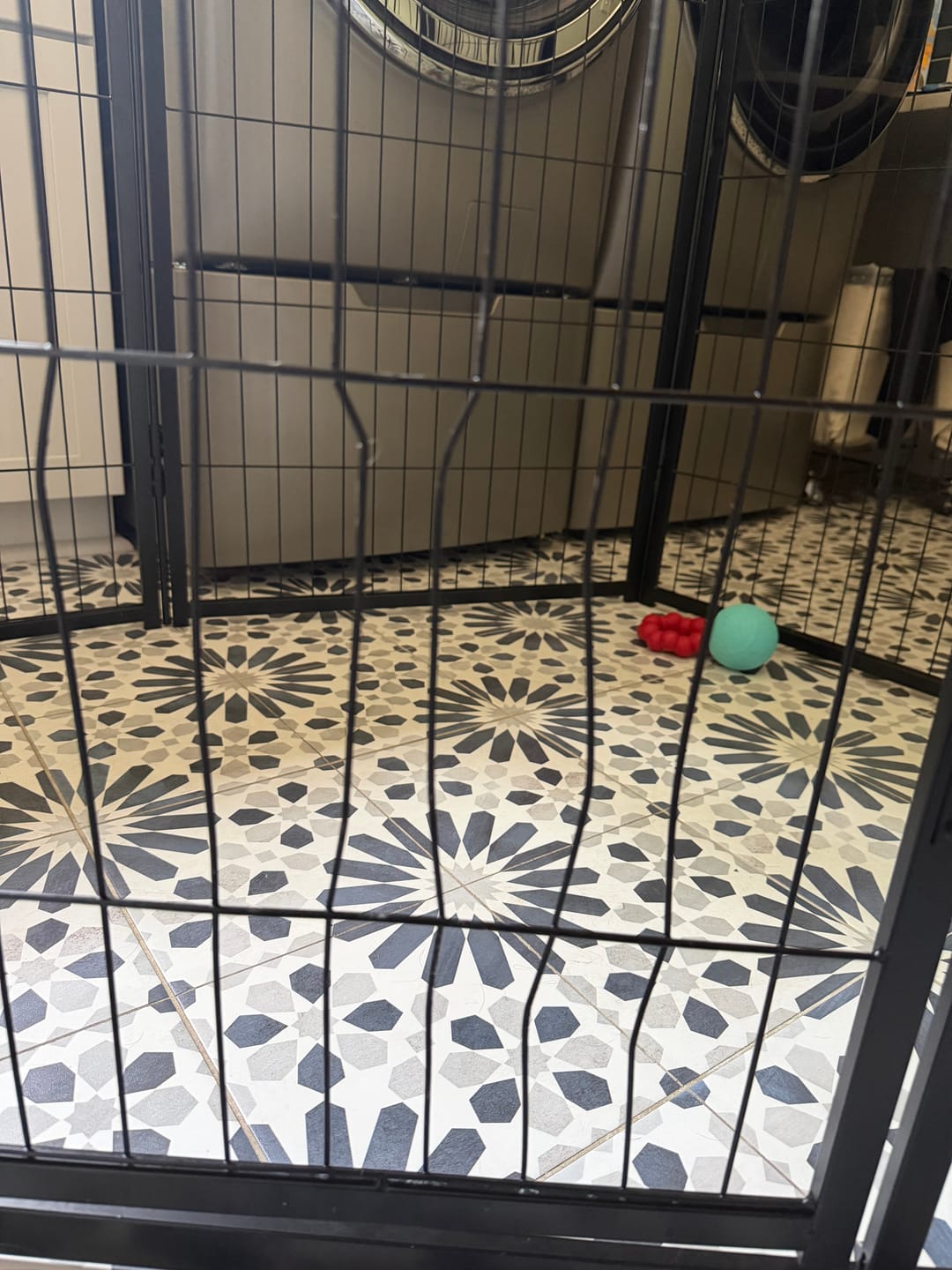 Customer photo review of Homeplus Dog Playpen for Indoor Use