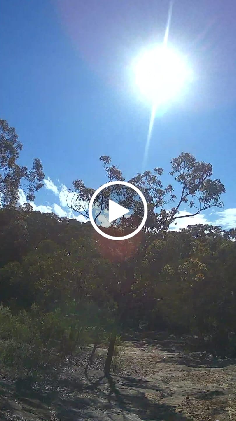 Customer video review of Freeshot™ 2.0 - 4K Wearable Camera