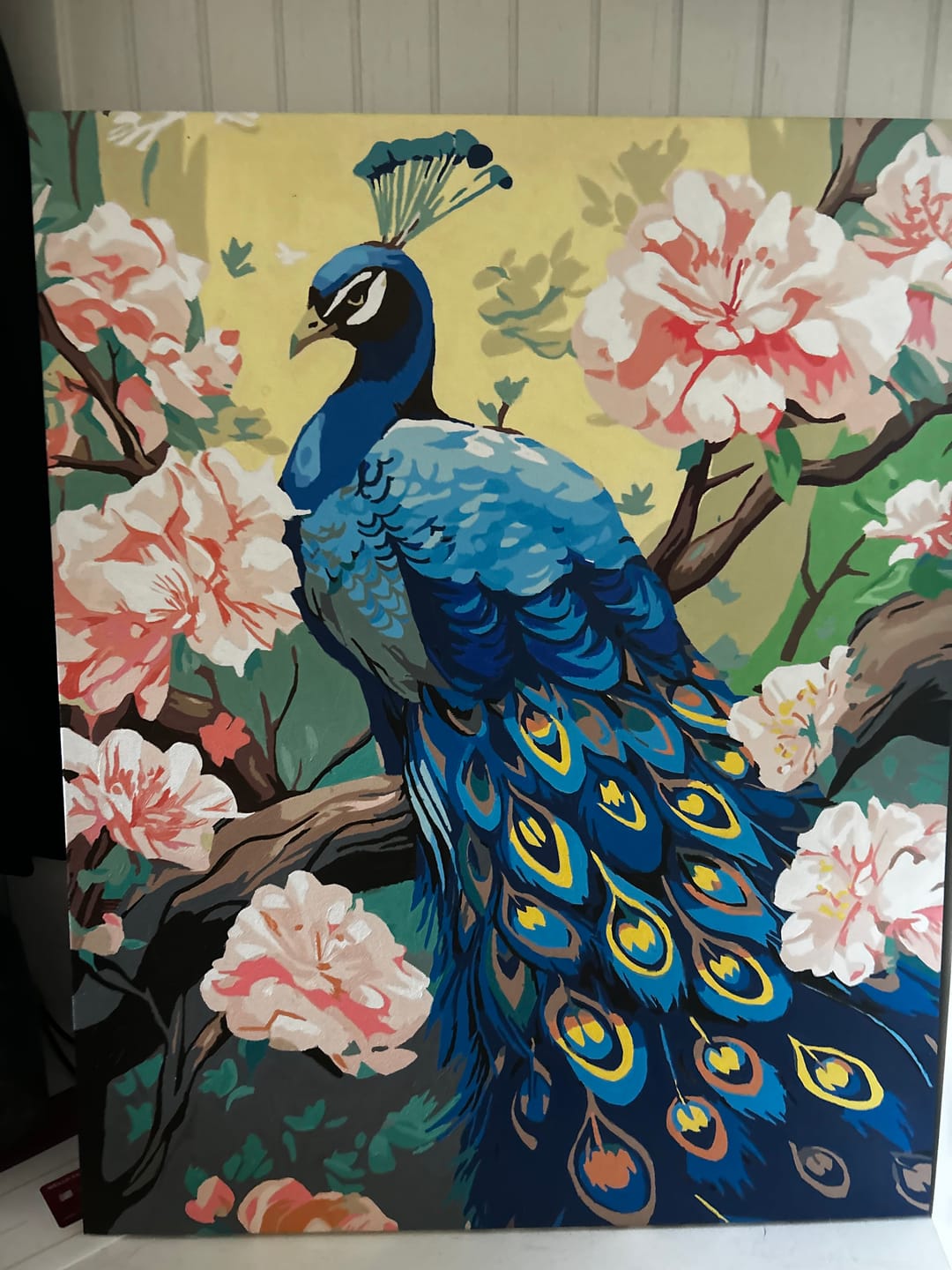 Customer photo review of Charming Peacock