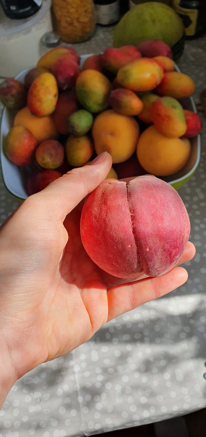 Customer photo review of Pfirsich-Mix Bio von Jose Miguel 3kg Box