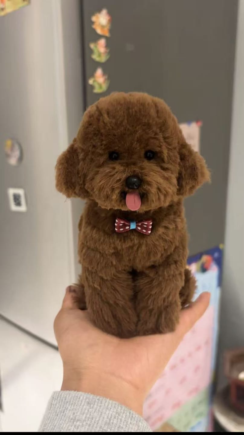 Customer photo review of Customized realistic pet plush toys