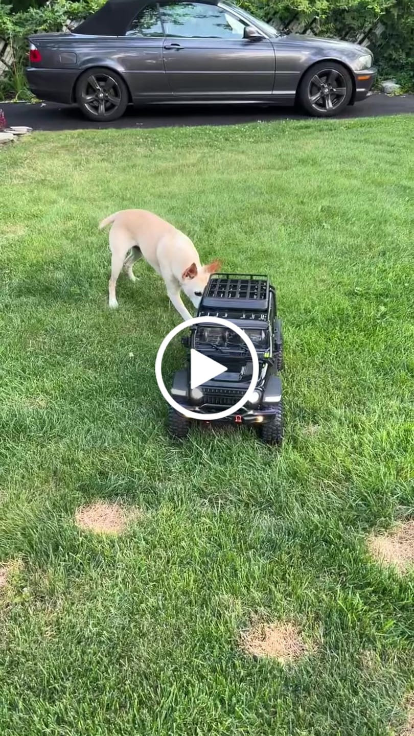 Customer video review of 1/7 Scale 4WD Brushless RTR RC Crawler MK-07 V2