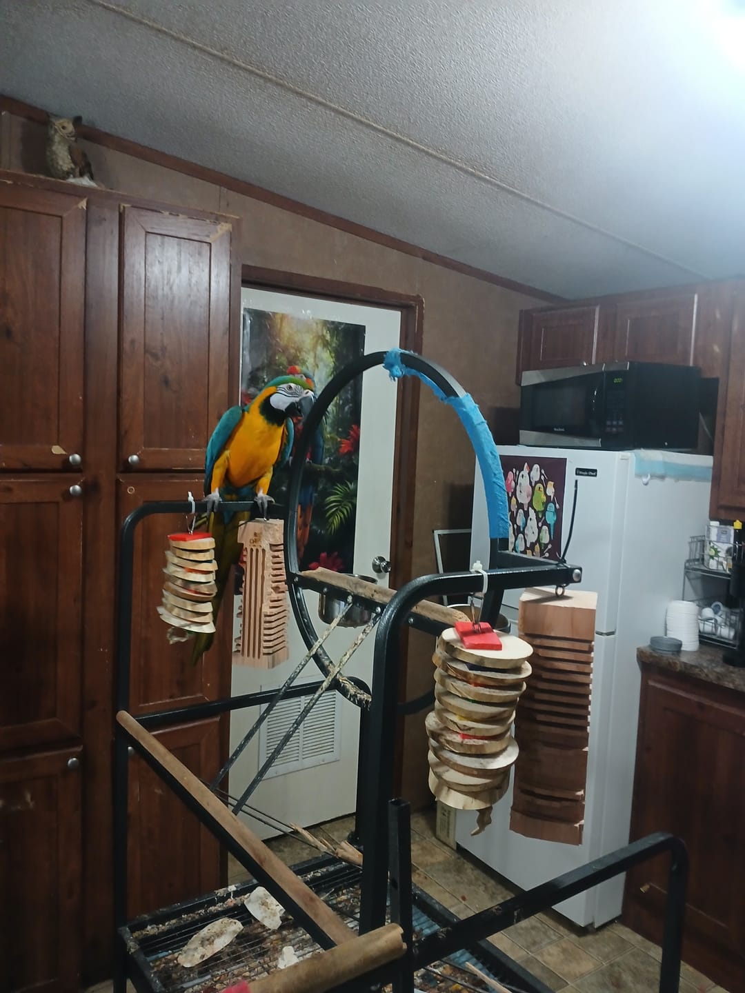 Customer photo review of Big Boy Yucca Bird Toy – Natural Chew Toy for Parrots & Aggressive Chewers