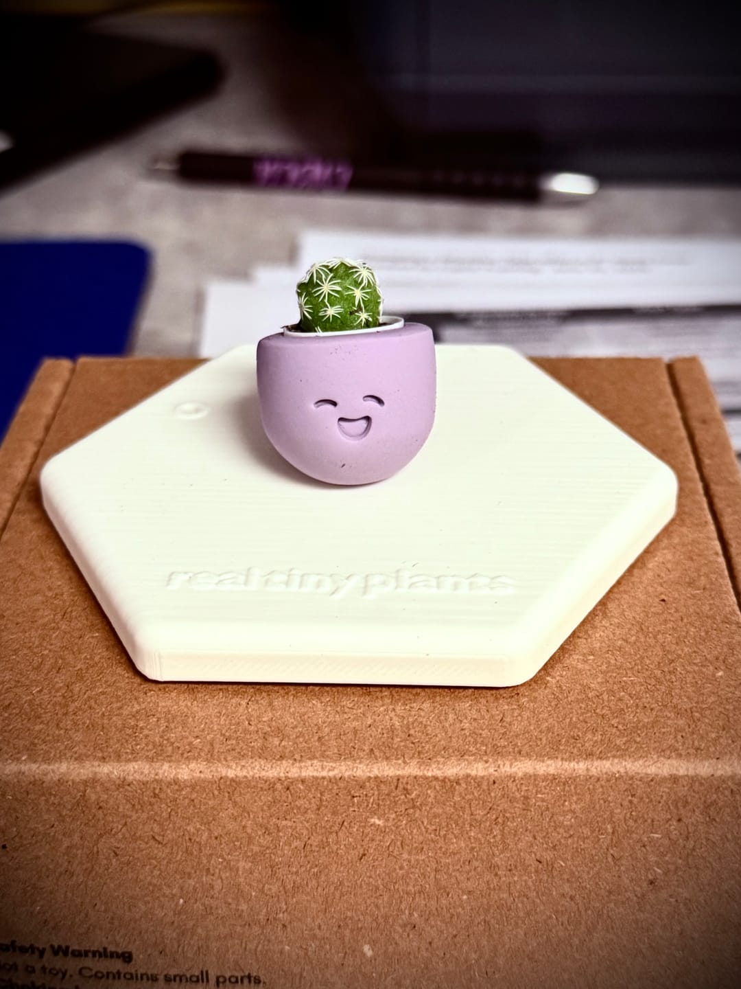 Customer photo review of Little Lavender