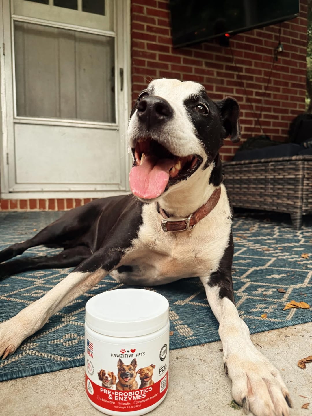 Customer photo review of Pre+Probiotics for Dogs Digestive Health – 120 Soft Chews (Beef Flavor)