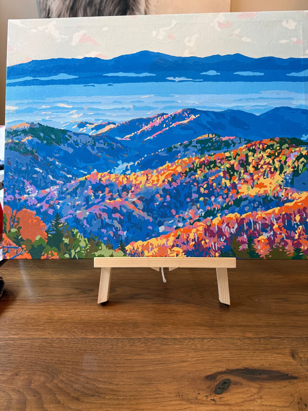 Customer photo review of Great Smoky Mountains National Park