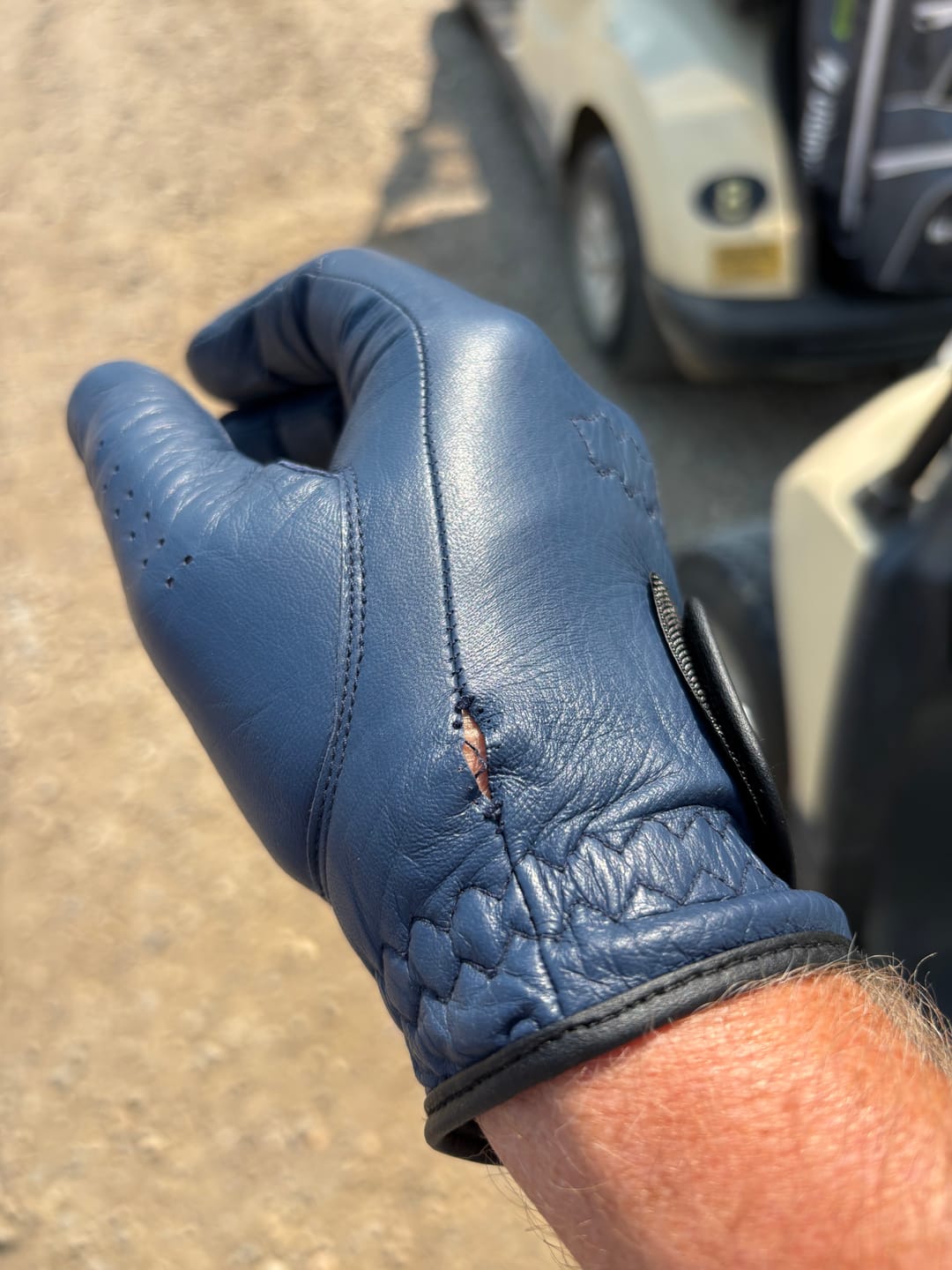 Customer photo review of Blue Steel 2026