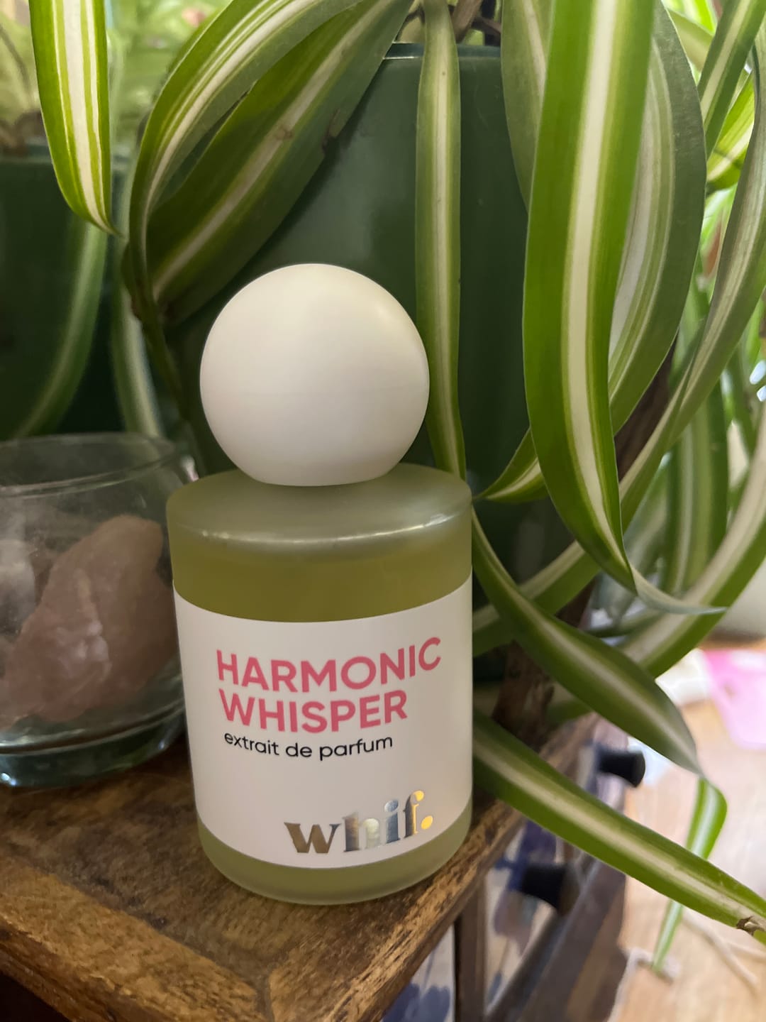 Customer photo review of Harmonic Whisper