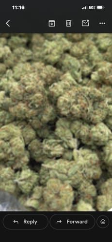 Alien OG - Bulk - Indica photo review
