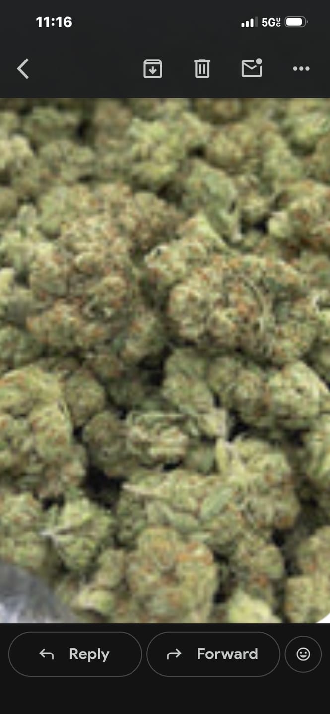 Customer photo review of Alien OG - Bulk - Indica