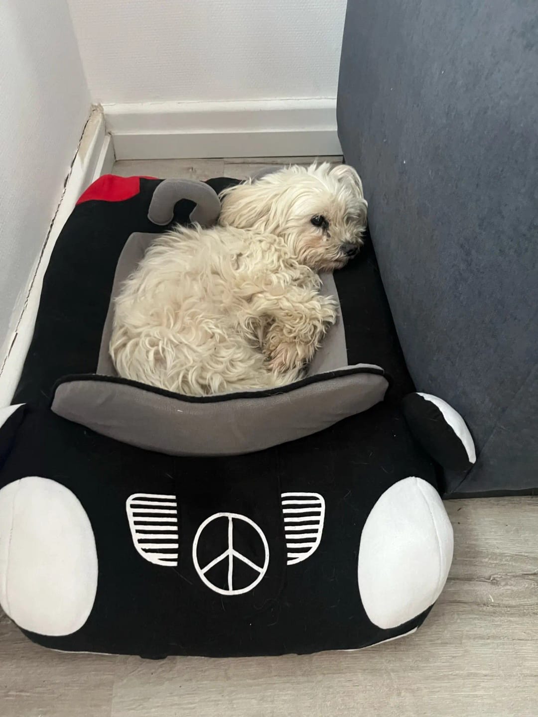Customer photo review of Furcedes Sports Car Bed