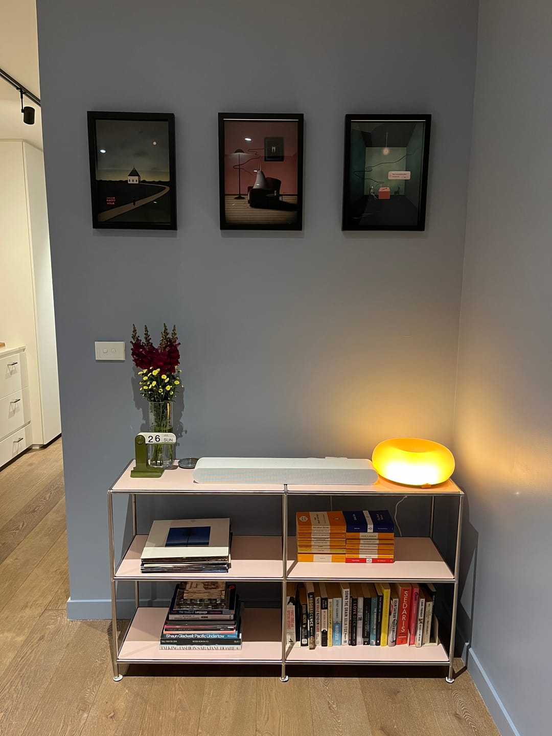 Customer photo review of IN2-9