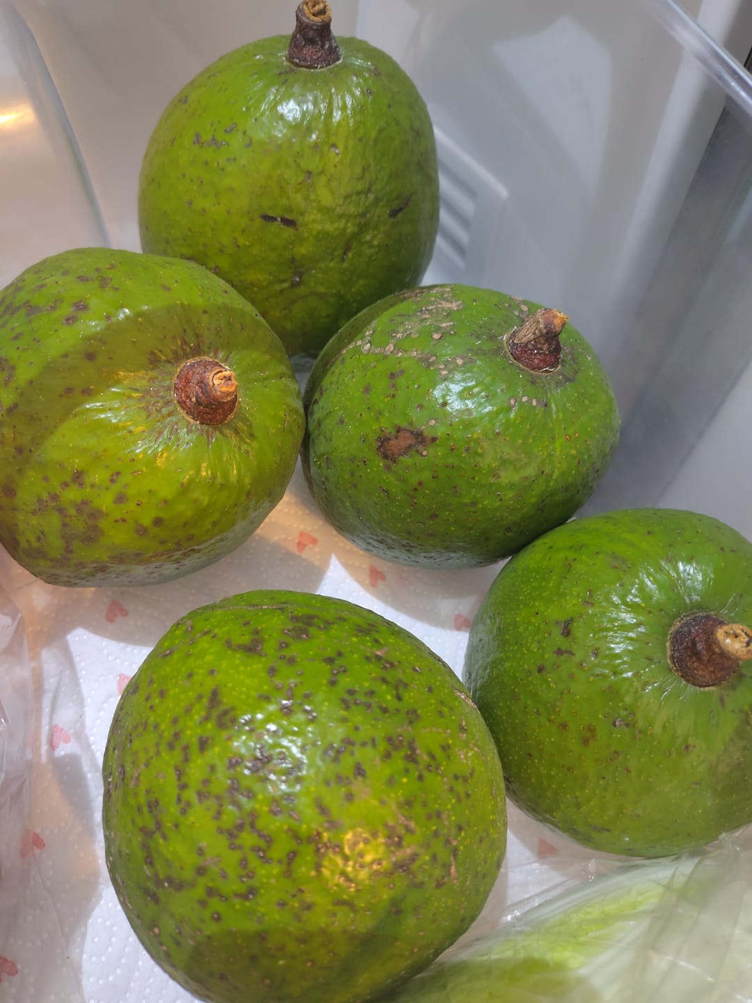 Customer photo review of Avocado Margarida (Stk. ca. 500g)