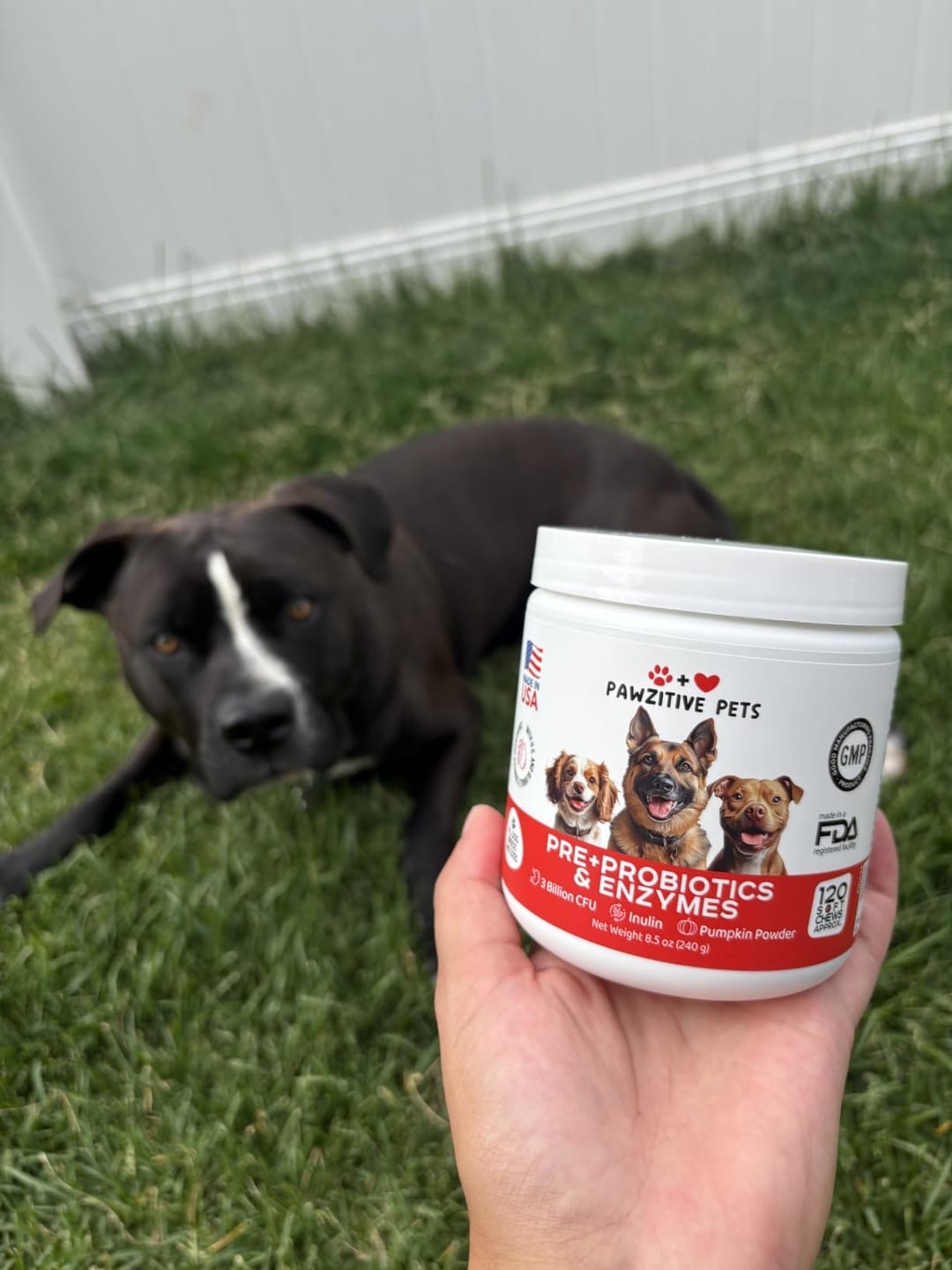 Customer photo review of Pre+Probiotics for Dogs Digestive Health – 120 Soft Chews (Beef Flavor)