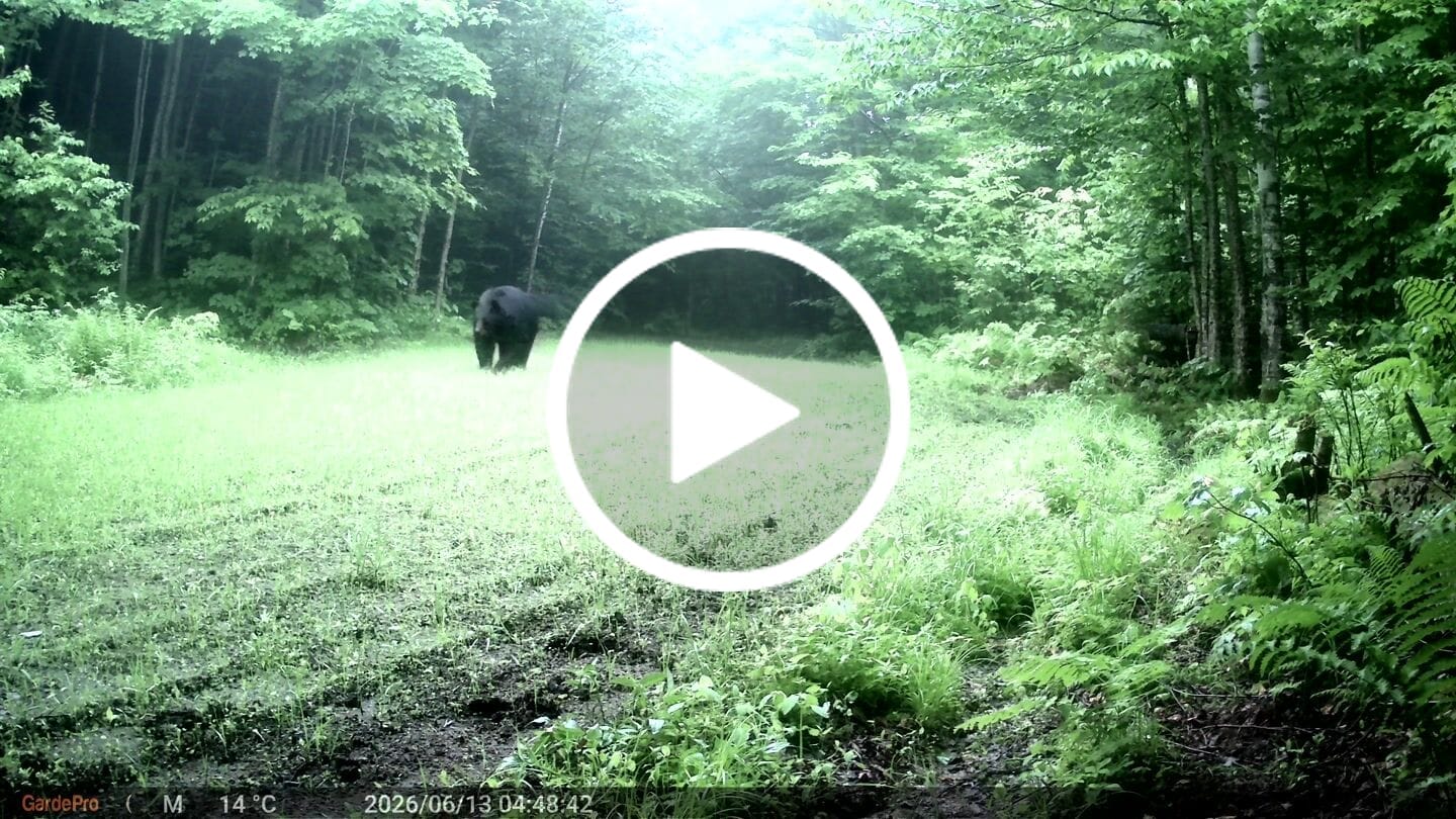 Customer video review of GardePro E8 2.0 Pro Wi-Fi Trail Camera