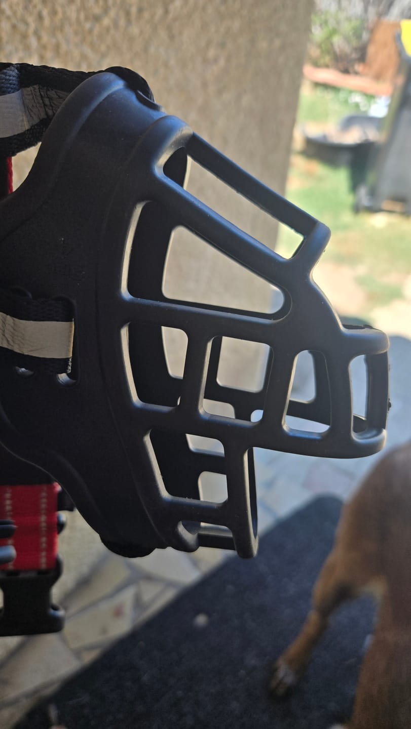 Customer photo review of Muselière panier pour chien – Protection et bien-être