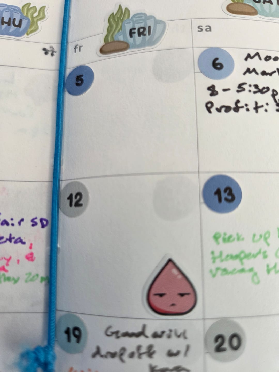 Customer photo review of Period Tracker Planner Stickers - No days