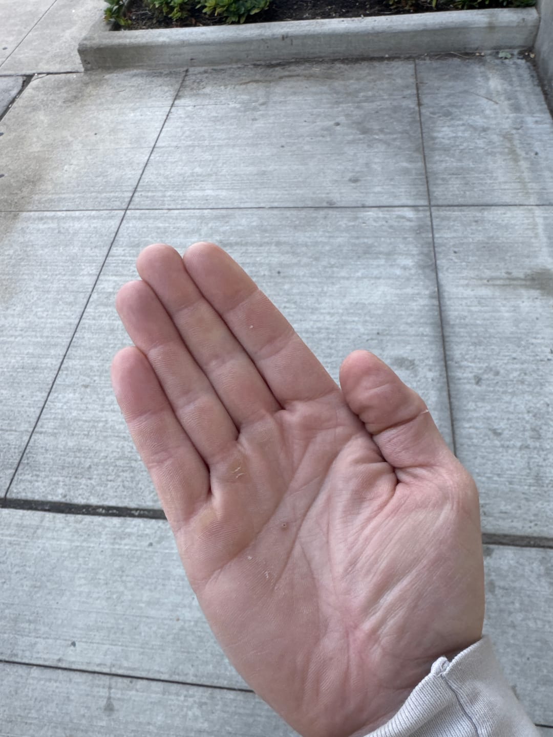 Customer photo review of Cannadips CBD