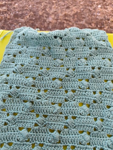 Customer photo review of SOY COTTON