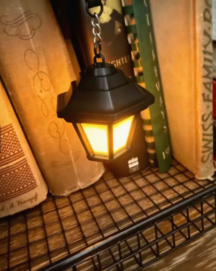 Customer photo review of Lámpara LED decorativa para estantería