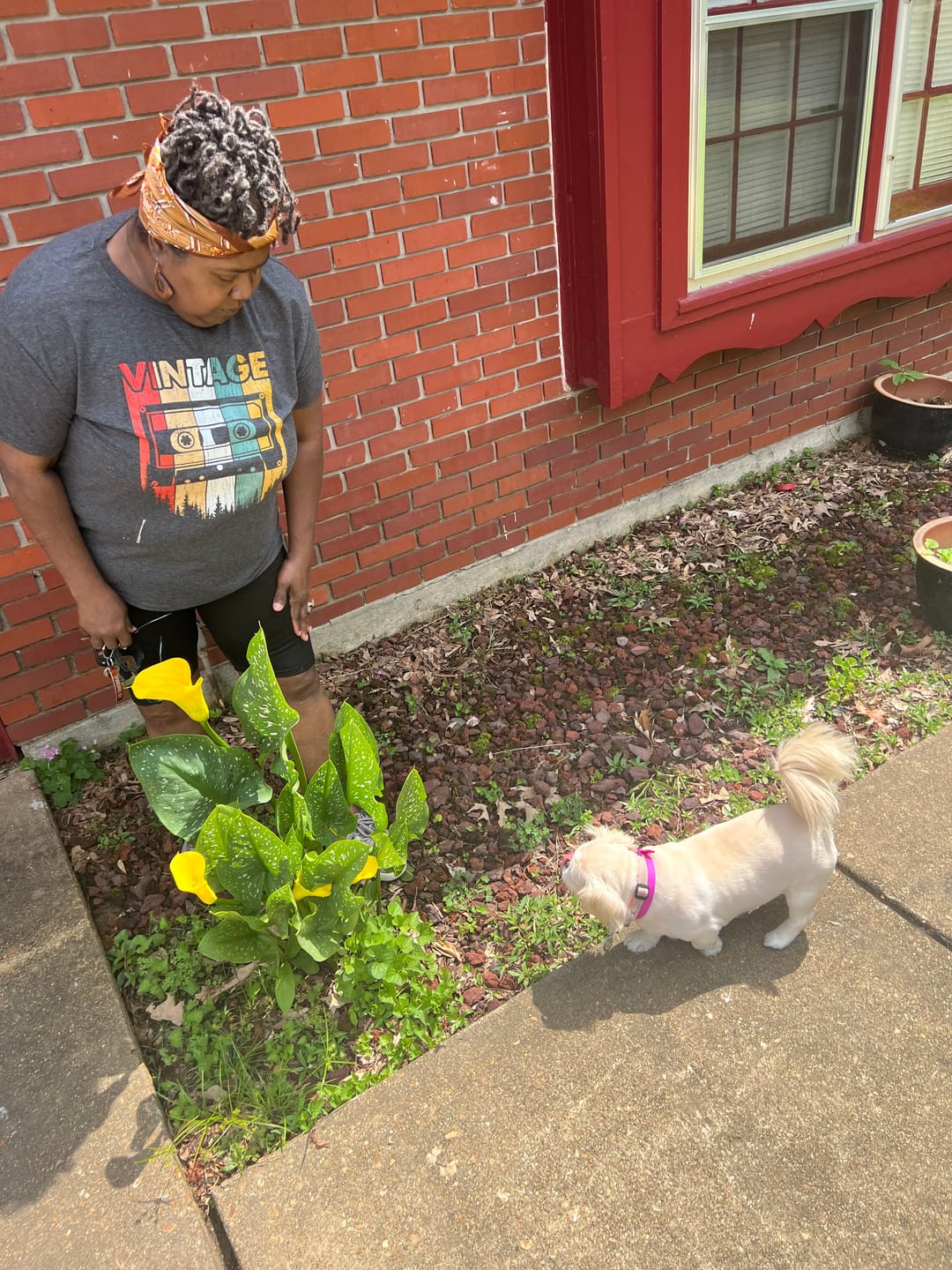 Customer photo review of Daily Preventative Powder - Canine & Cat