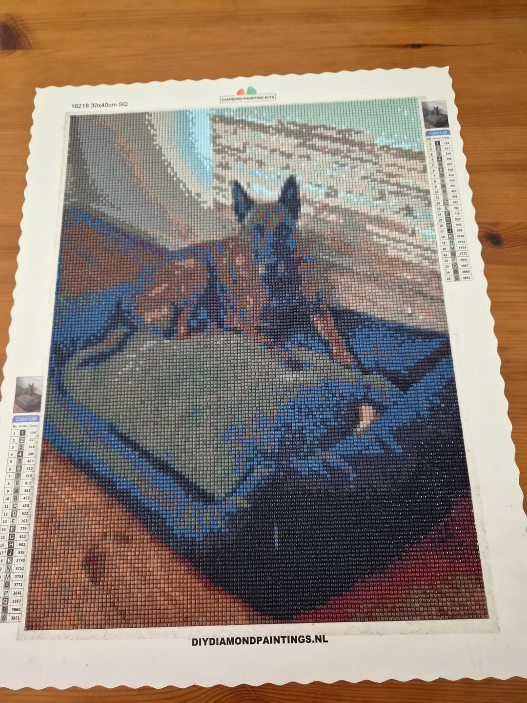 Customer photo review of Diamond Painting Eigen Foto (New)
