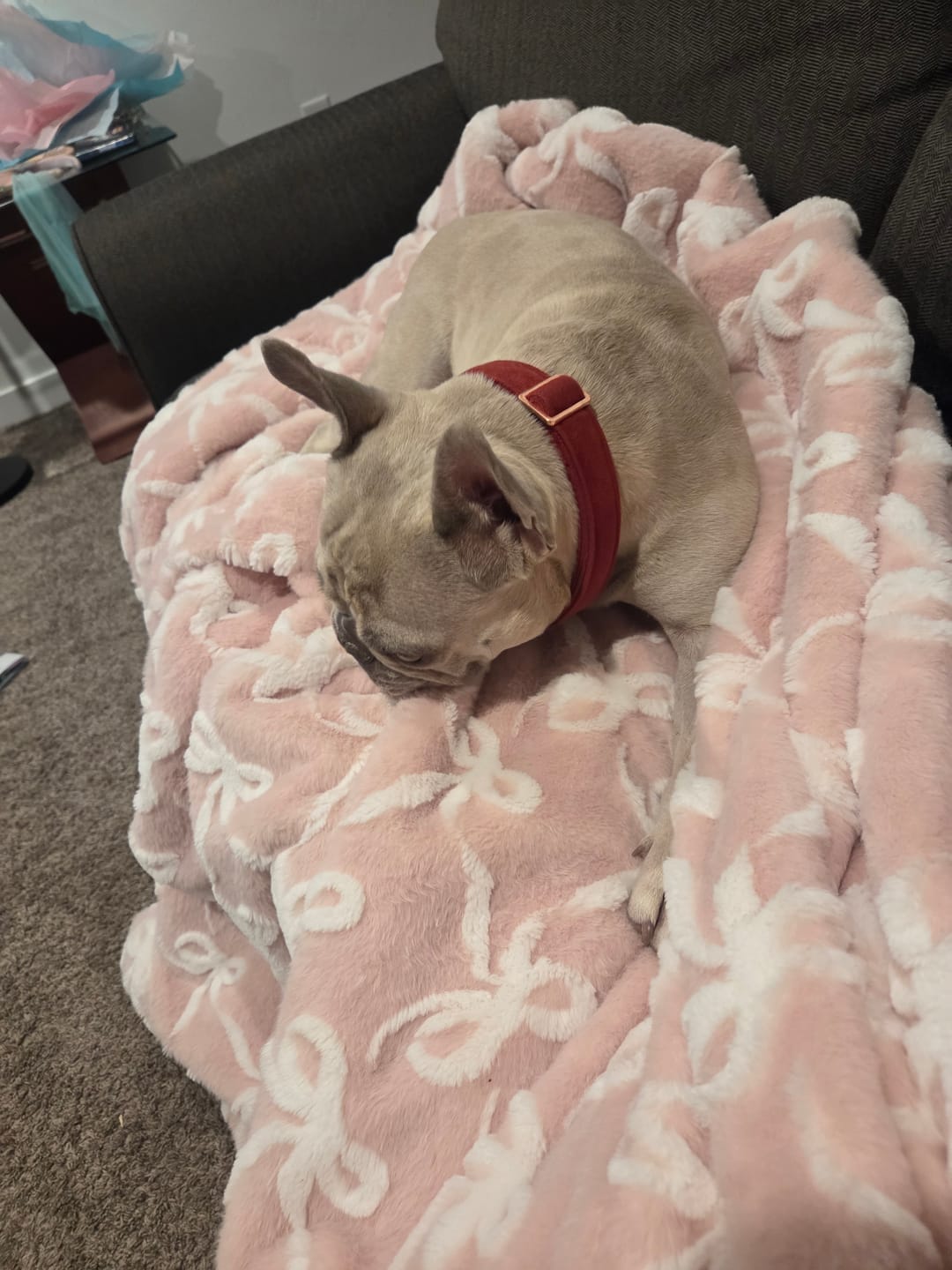 Customer photo review of Bows Blush Blanket