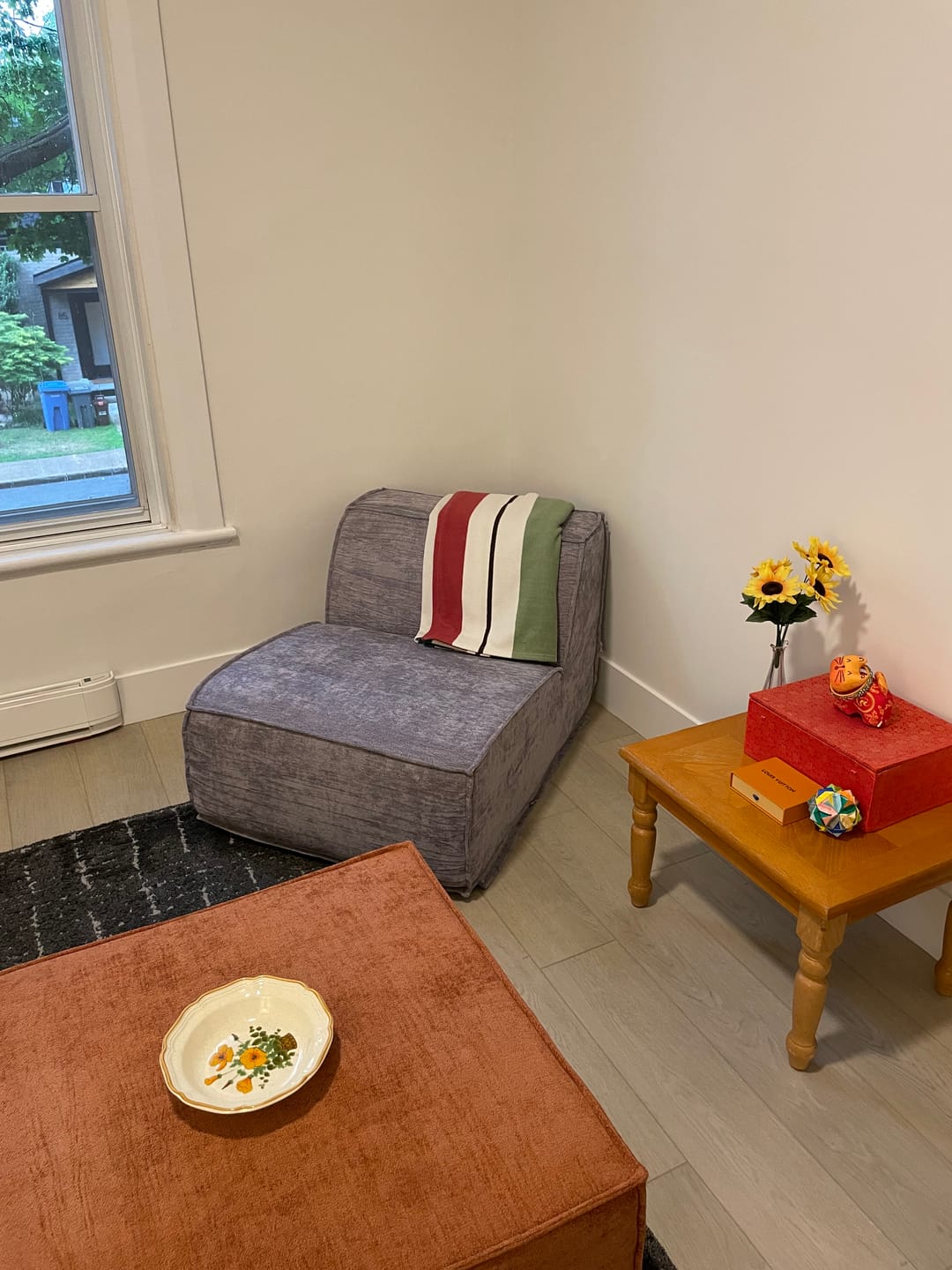 Customer photo review of M1 Armless Sofa Seat