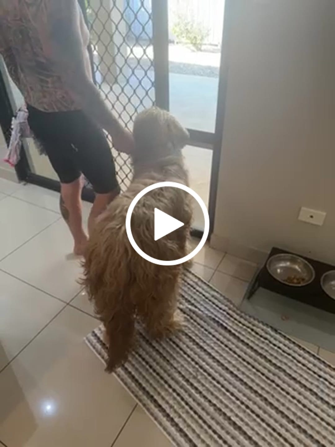Customer video review of Pet Door Inserts