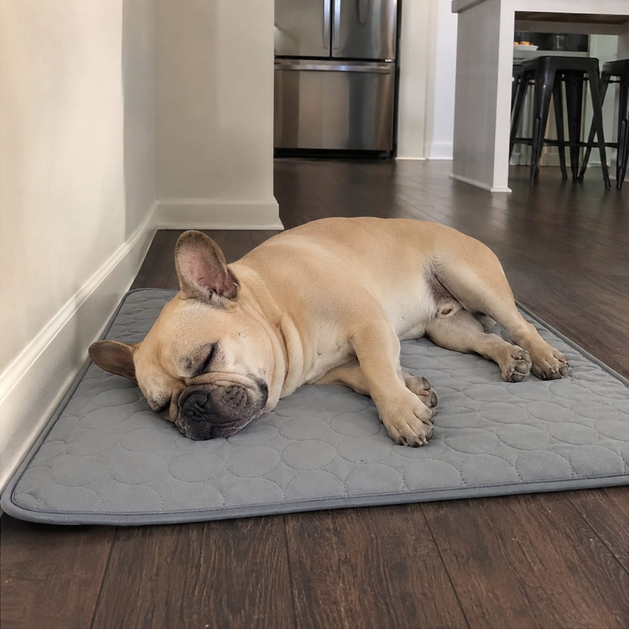 Customer photo review of Freya Cooling Mat