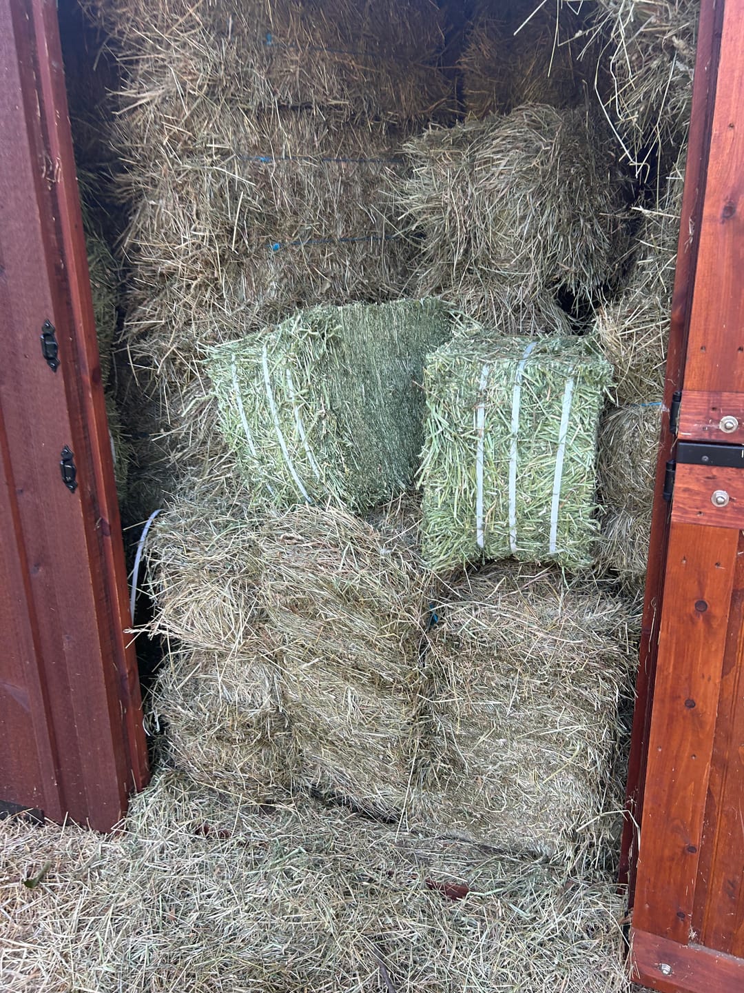 Customer photo review of Western Steamed Alfalfa (Click here for Qty Discount) - 18 Bale Bundle! Includes delivery and ground level stacking with our forklift too!