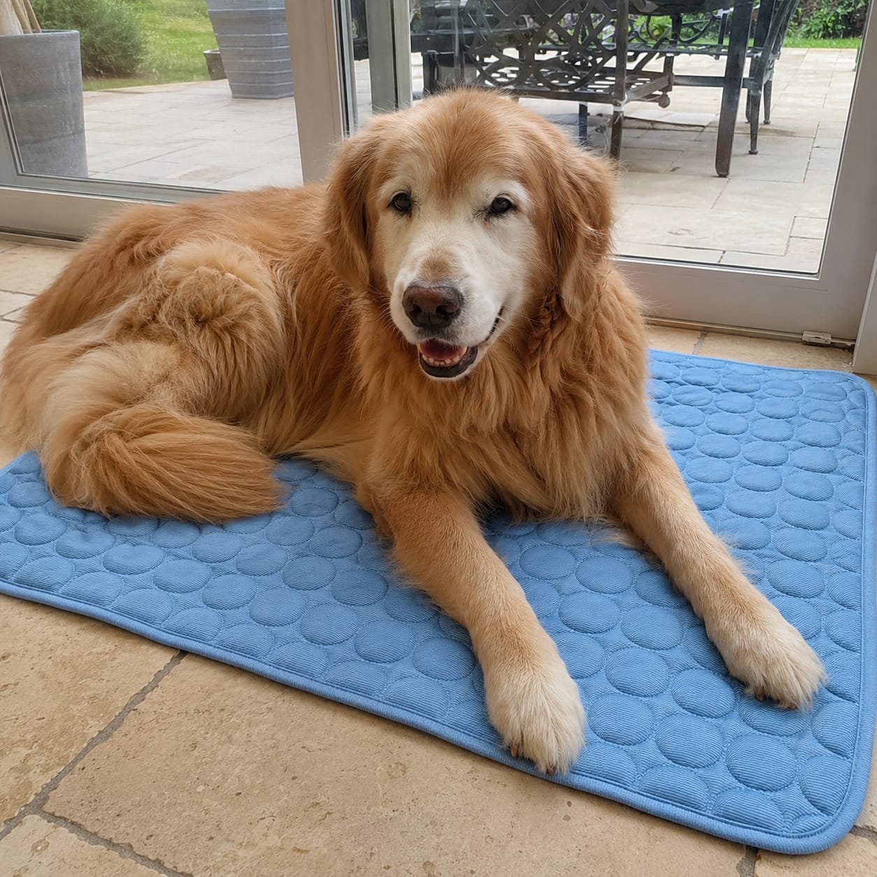 Customer photo review of Freya Cooling Mat