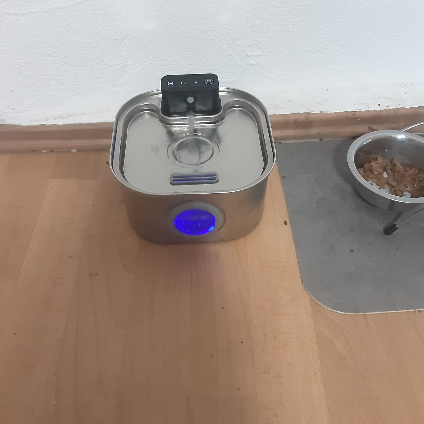 Customer photo review of PfotenBrunnen™ - Katzenwasserspender