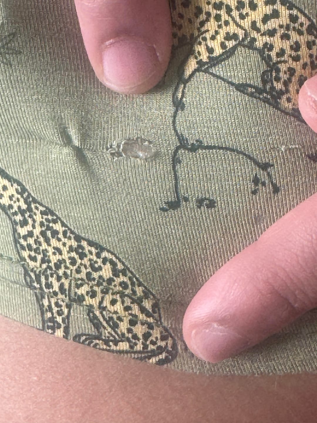 Customer photo review of Sage & Spots Leopard Bamboo Women's Pajama Short Set