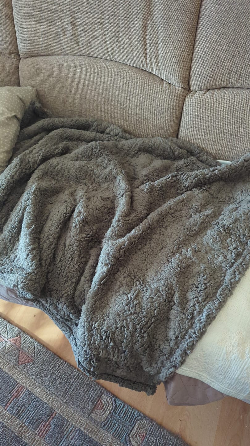 Customer photo review of PetLounge I Premium Sofa-Schutz