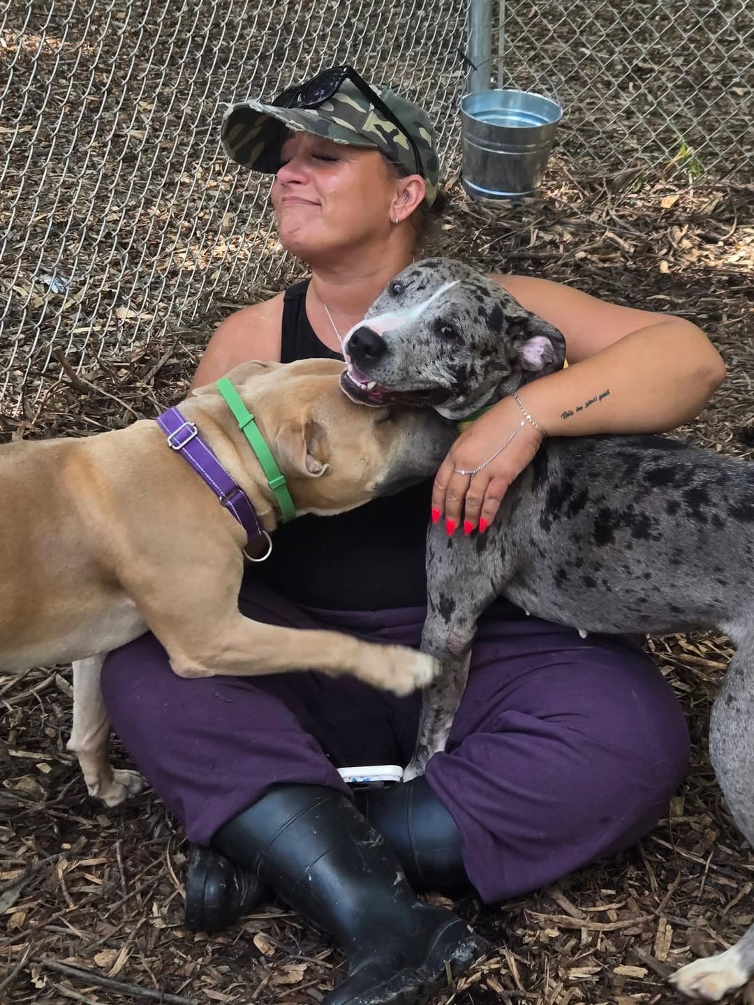 Customer photo review of FurLife™ - 8 Months All Natural Flea and Tick Collar for Dogs