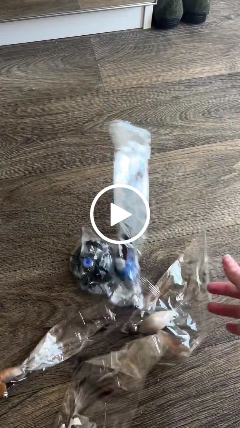 Customer video review of Simulated Bird Wand Cat Toy