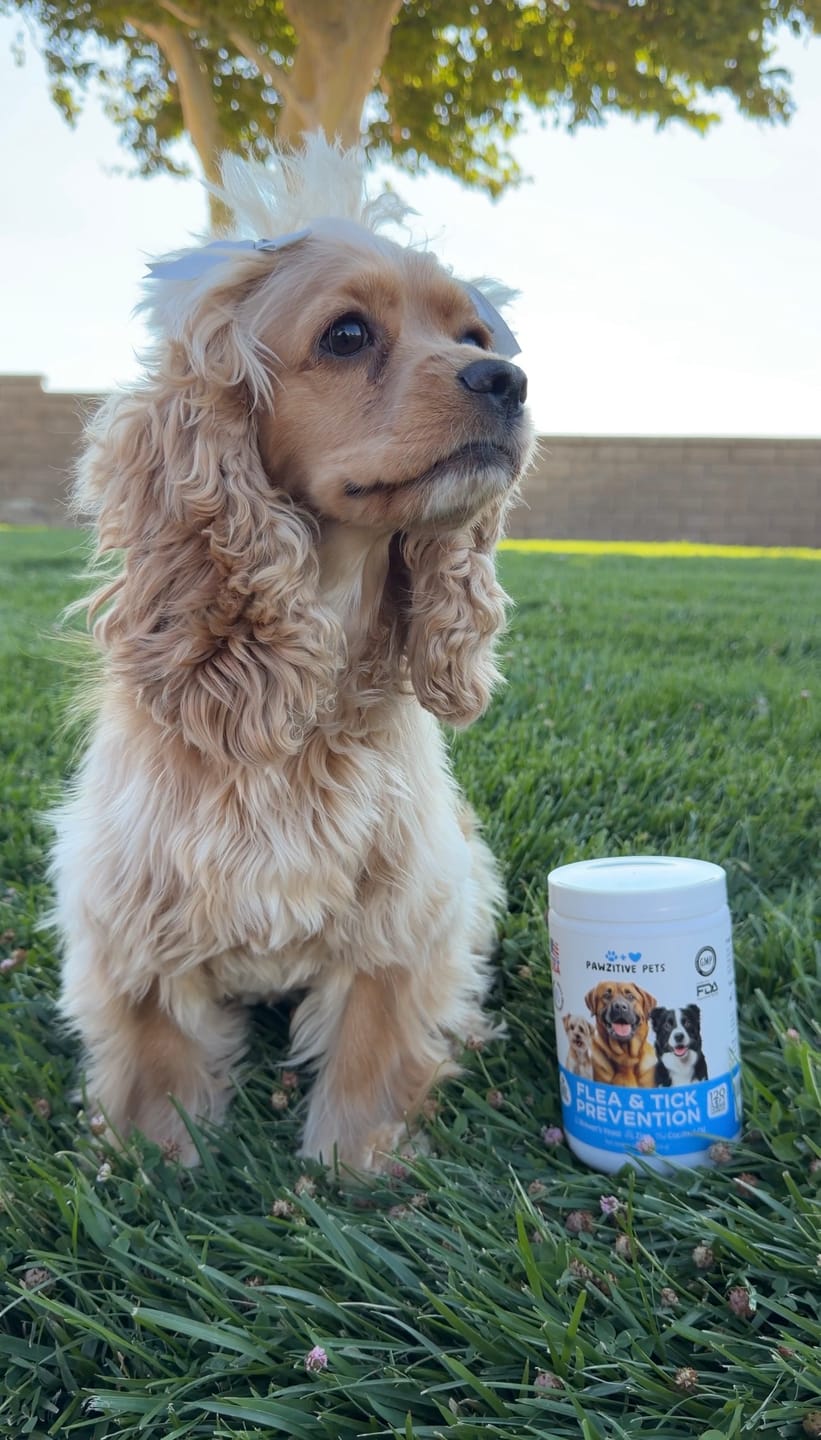 Customer photo review of Flea and Tick Prevention for Dogs – 120 Soft Chews