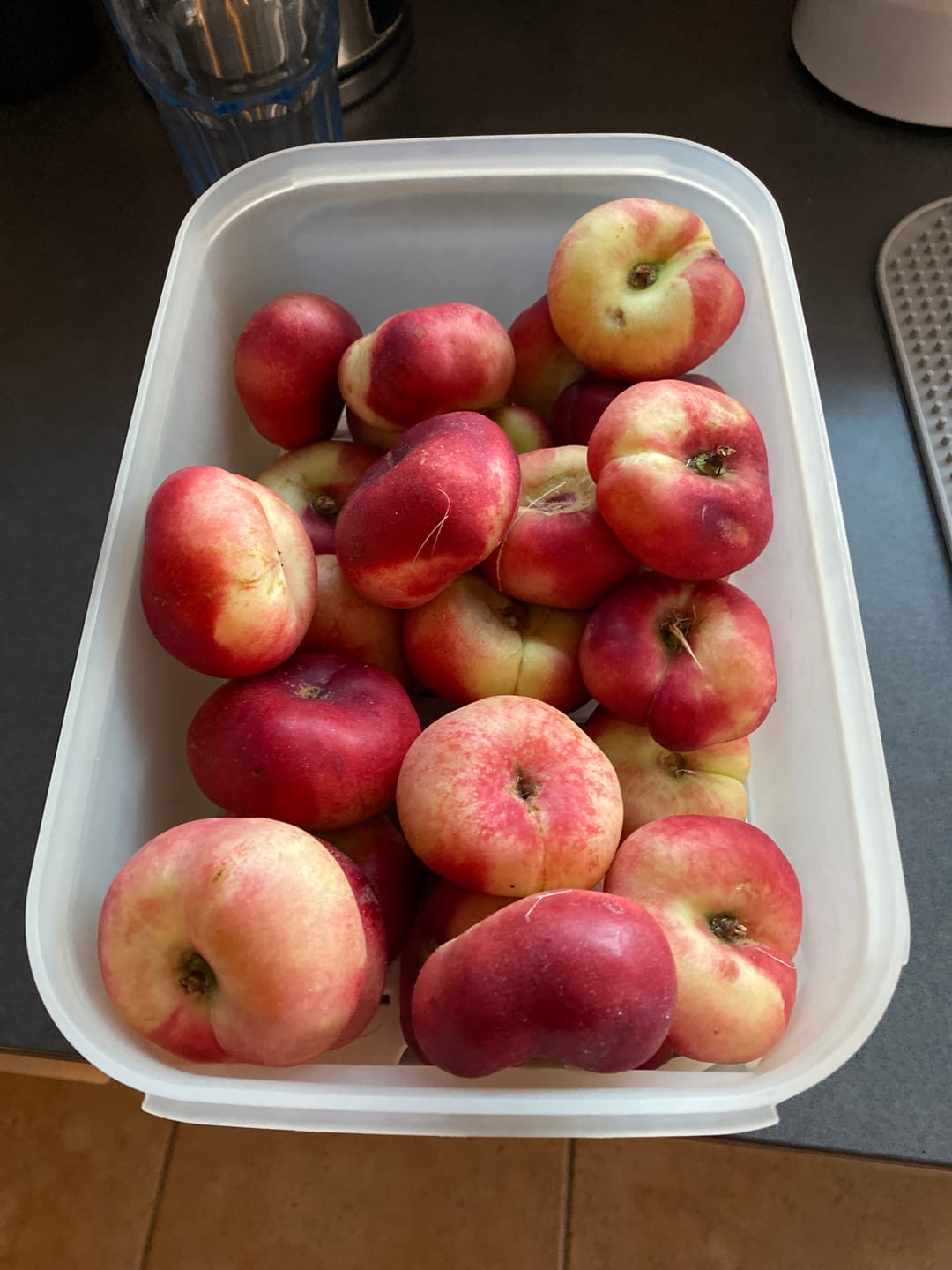 Customer photo review of Mini Weinberg-Nektarinen Bio von Nicolas 3kg Retterbox