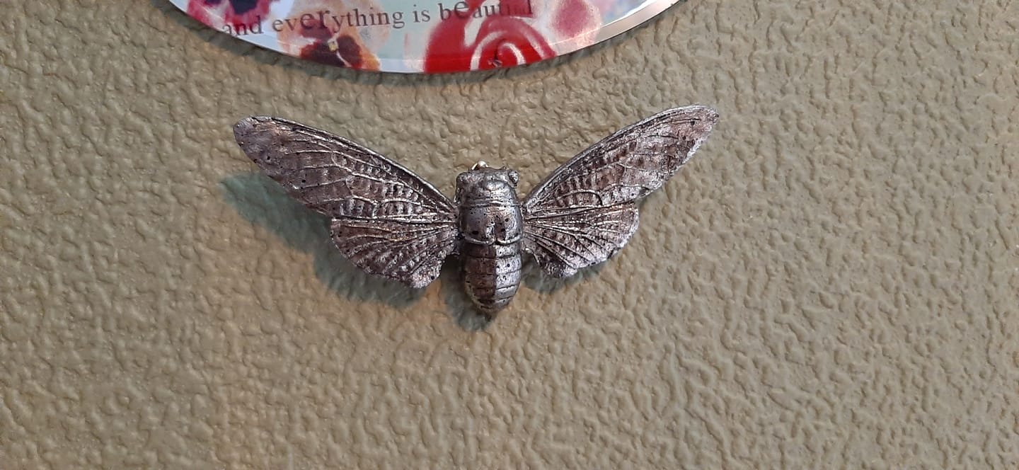 Customer photo review of Silver Effect Wall Mounted Bee