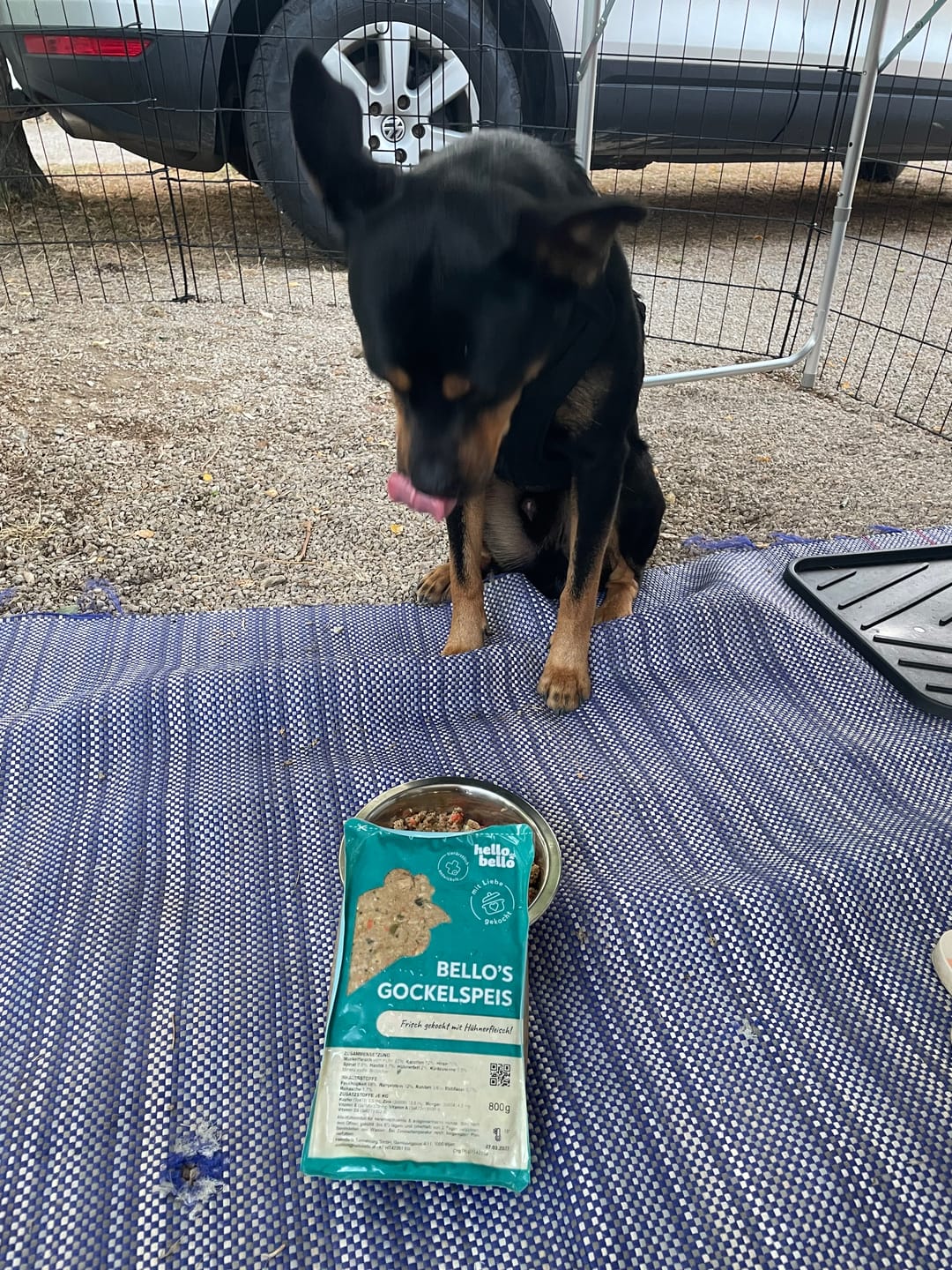 Customer photo review of Frischfutter für Energiebedarf von 1076 kCal/Tag