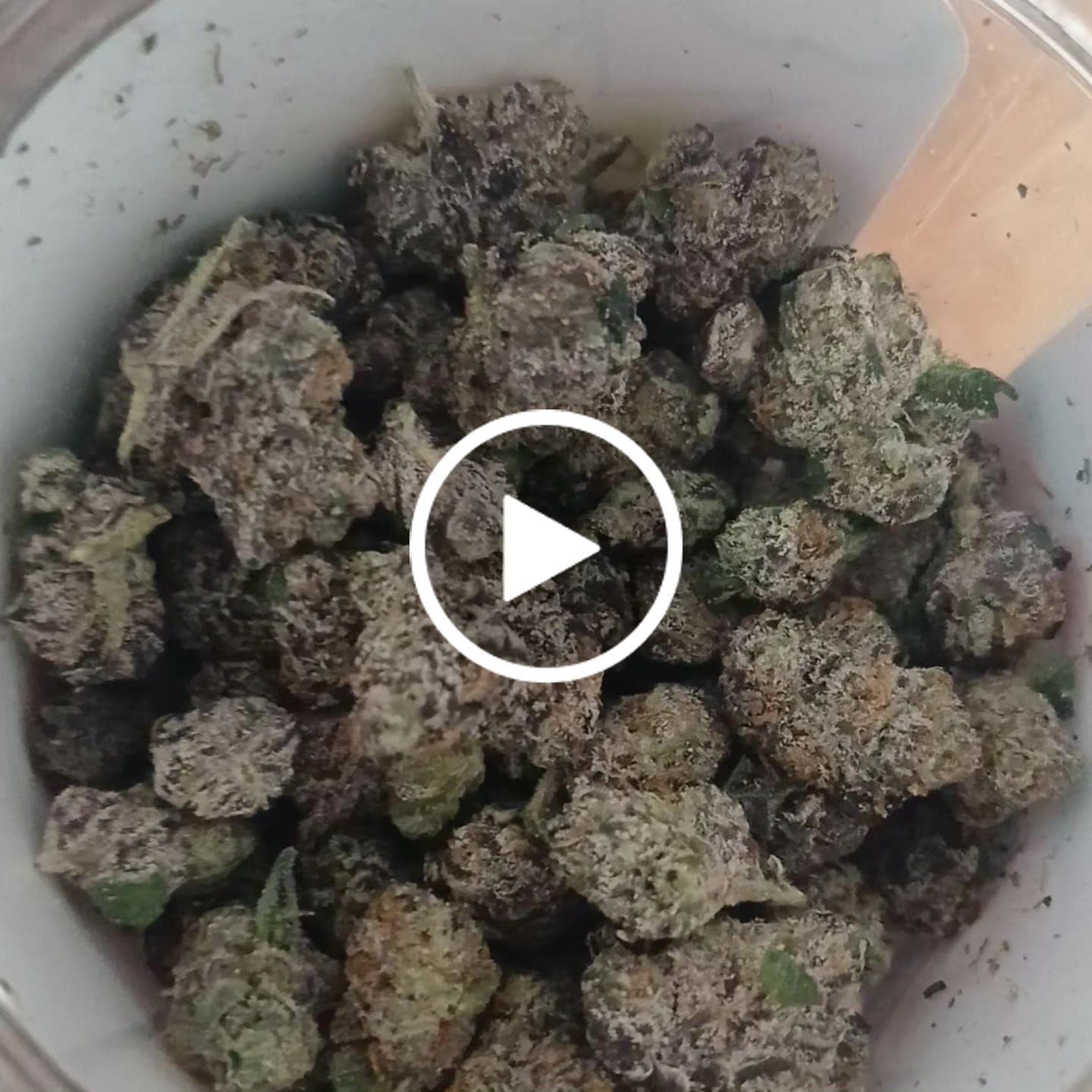 Customer video review of Wedding Cake - Minis - 28 Grams - Indica
