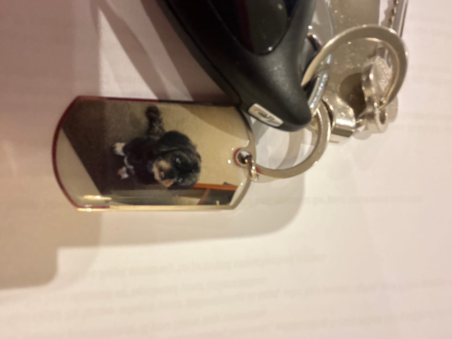 Customer photo review of Personalized Pet Keychain