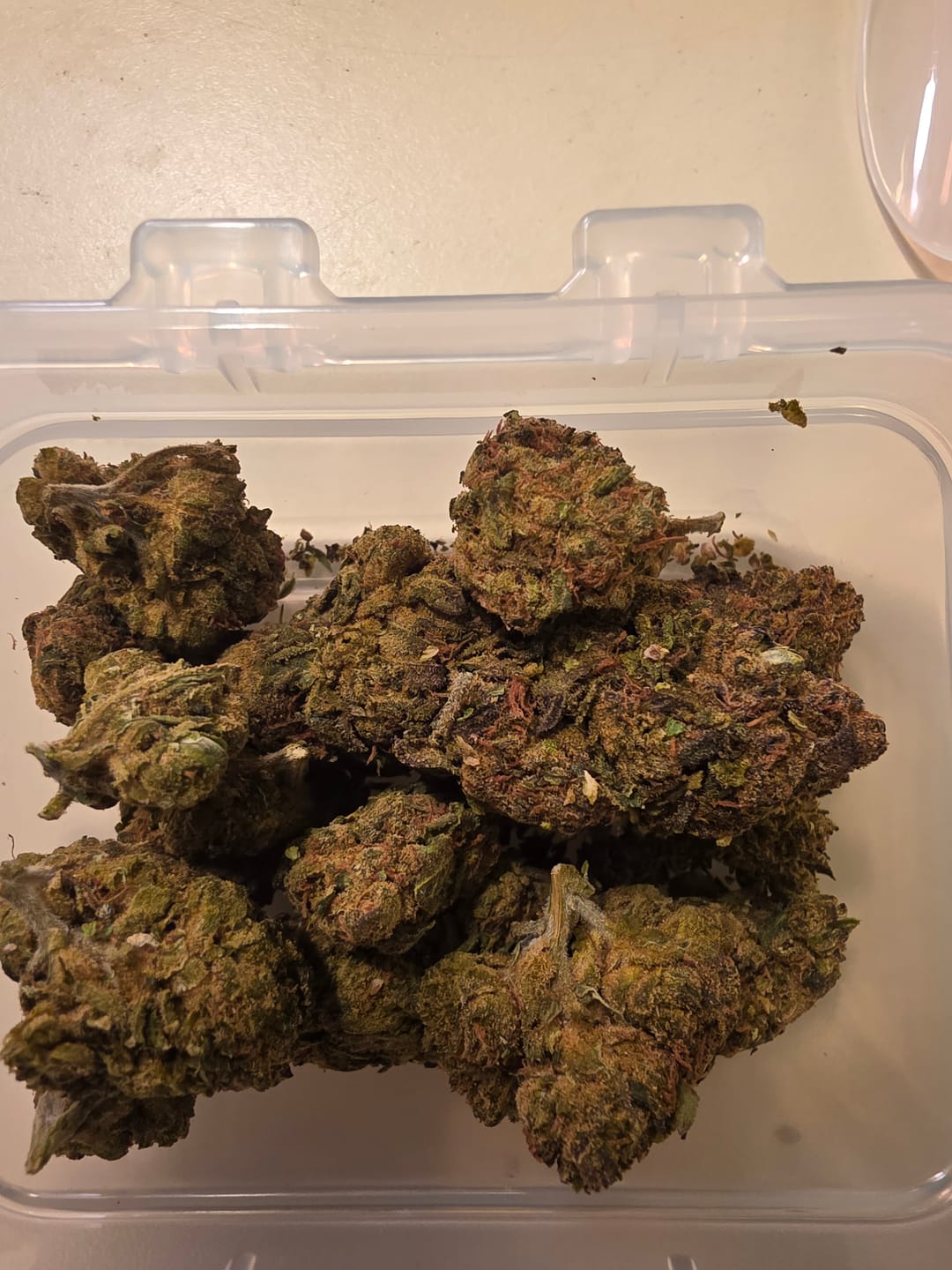 Customer photo review of Biscotti Cake - 28 Grams - Hybrid