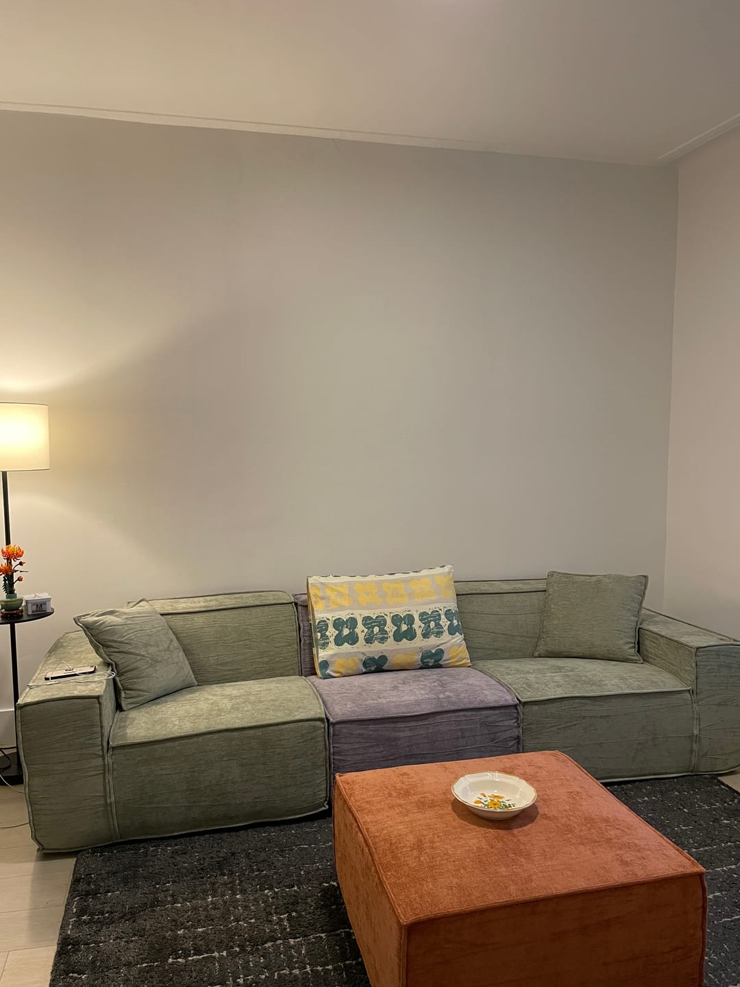 Customer photo review of M1 Sofa Loveseat