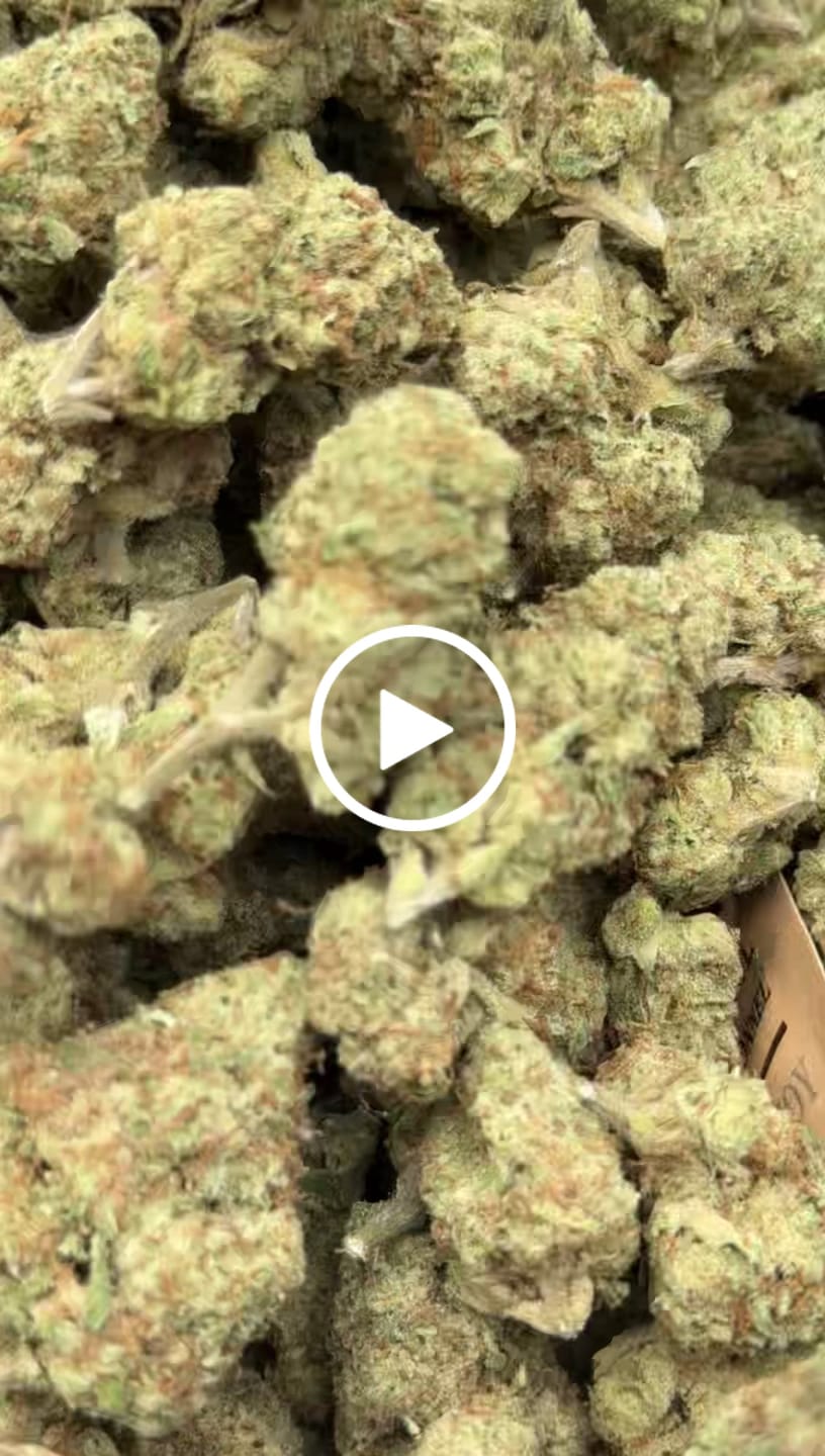 Customer video review of Blueberry Muffins - Bulk - Indica
