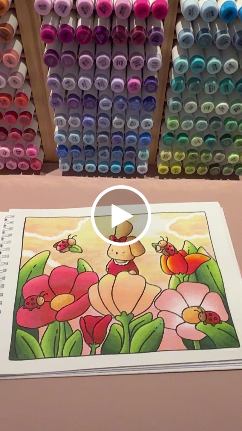 Customer video review of Ohuhu Bamboo Marker Organizer (Brazil Domestic Shipping)