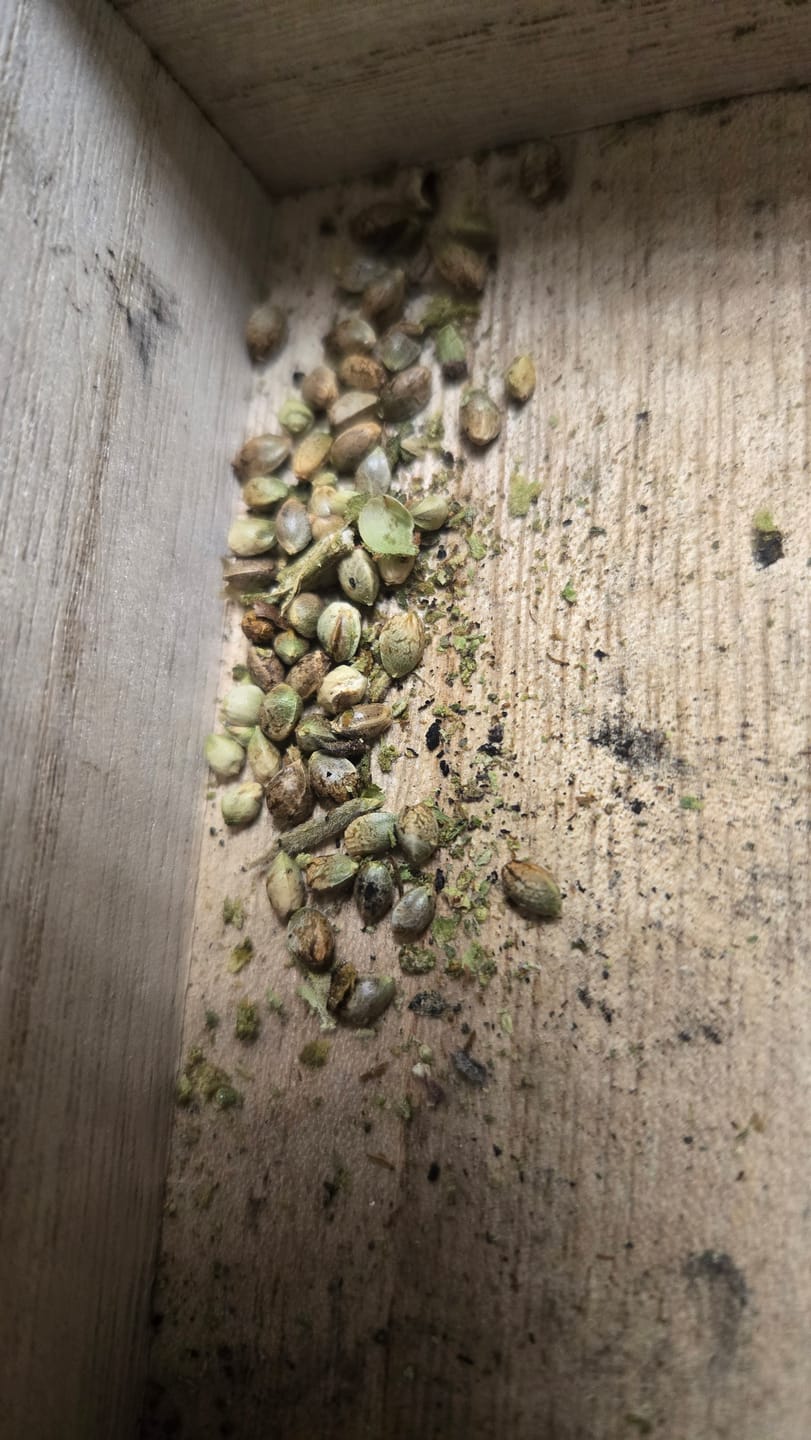 Customer photo review of Bubba Candy - 28 Grams - Indica