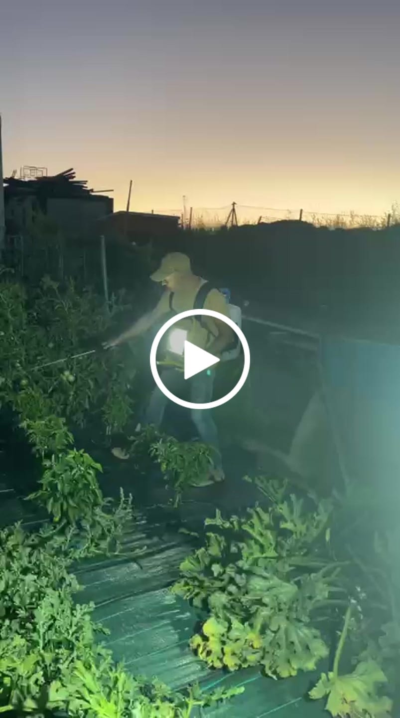 Customer video review of FERTIBONO PROTECCIÓN TOTAL | Solución Multiusos Natural para Plantas | 1 L |  Jabón Potásico + Aceite de Neem | Ideal para Huertos y Jardines